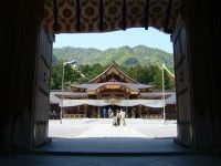 弥彦神社の写真