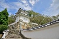 Tatsuno Castle