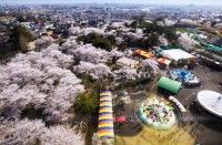 華蔵寺公園遊園地の写真