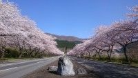 冨士霊園の写真