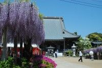 妙福寺の写真