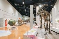 長崎市恐竜博物館の写真