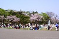 函館公園