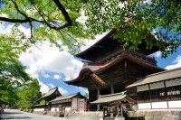 肥後一の宮阿蘇神社の写真