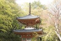 牛滝山 大威徳寺の写真