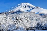 水ヶ塚公園の写真