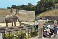 岡崎市東公園動物園の写真