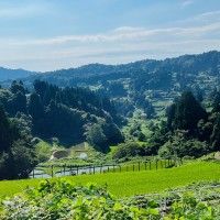 山古志の棚田・棚池の写真