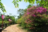 小見川城山公園の写真