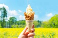 市原みつばち牧場
