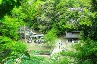 いちはらクオードの森