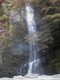 箕面滝の写真