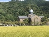 滋賀県立安土城考古博物館の写真