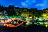 歴史公園えさし藤原の郷の写真