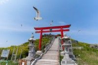 蕪嶋神社の写真