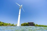 いわき市フラワーセンター