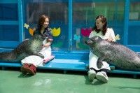 伊勢夫婦岩ふれあい水族館シーパラダイスの写真