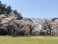 小牛田公園の写真