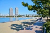 お台場海浜公園の写真