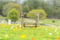 香山ラベンダーの丘の写真