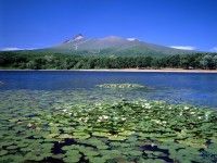 北海道駒ケ岳の写真