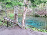 Kaminoko Pond