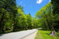 飛騨・美濃せせらぎ街道の写真