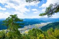 洗心の森の写真