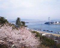 下津井城跡の写真