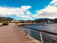 金ヶ崎緑地の写真