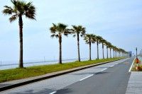 袖ケ浦海浜公園