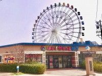 はい！からっと横丁の写真