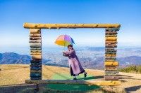 雲辺寺山頂公園の写真