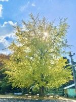 天体望遠鏡博物館の写真