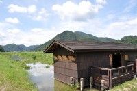 豊岡市立ハチゴロウの戸島湿地の写真