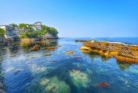 五浦海岸の写真