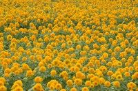 那珂総合公園の写真