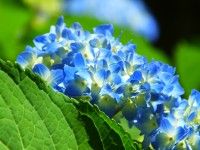 常陸風土記の丘の写真