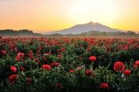 小貝川ふれあい公園