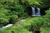 鐘山の滝の写真