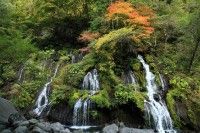 吐竜の滝の写真