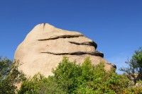 王子が岳の写真