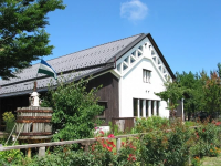 カーブドッチワイナリーの写真