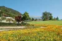 因島フラワーセンターの写真