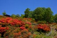 見晴山展望台の写真