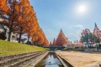 維新百年記念公園の写真