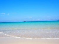 土井ヶ浜の写真