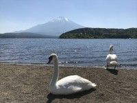 平野の浜（平野湖畔）の写真