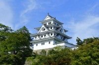 郡上八幡城の写真