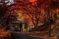 古今伝授の里フィールドミュージアム